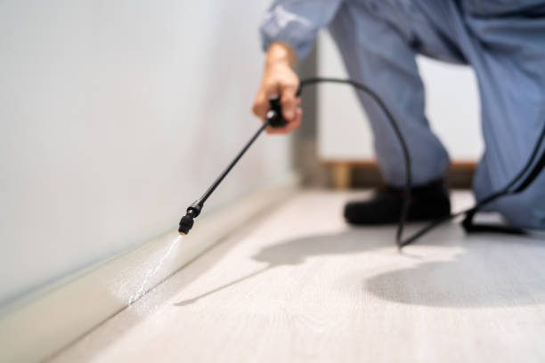 Licensed Pest Control service in Abernathy, TX - Show Me Pest Control