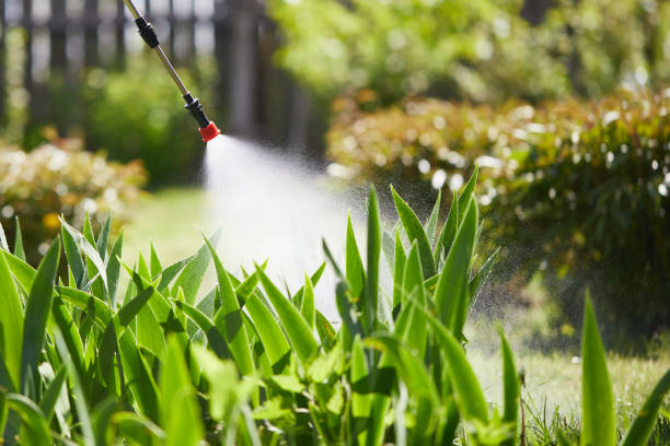 Tamper-Resistant Bait Stations for Rodents in Abernathy