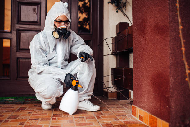 Attic and Crawl Space Rodent Treatment in Abernathy