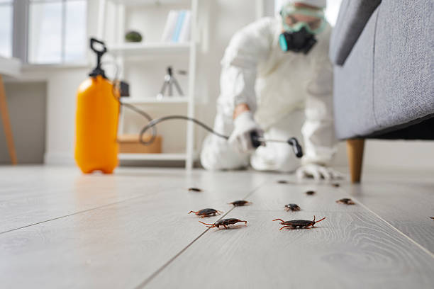 Commercial Rodent Management in Abernathy